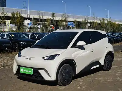 BYD Seagull 2024