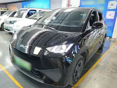 BYD Seagull 2025