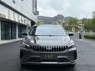 Geely Binrui 2024