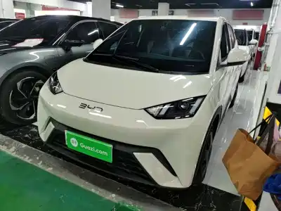 BYD Seagull 2025