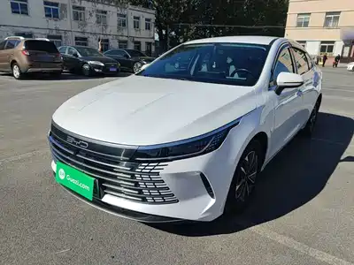 BYD Destroyer 05 2024