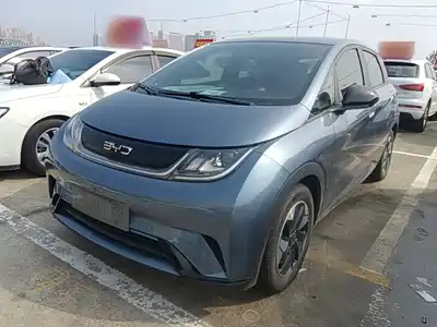 BYD Dolphin 2024