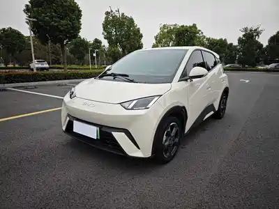 BYD Seagull 2024