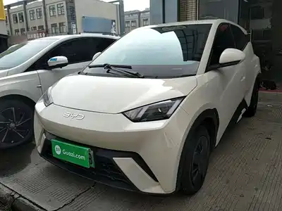 BYD Seagull 2025