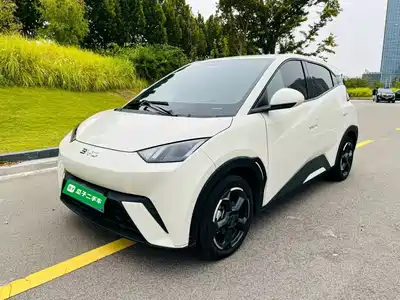 BYD Seagull 2024