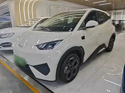 BYD Seagull 2025
