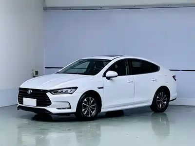 BYD Qin Pro New Energy 2019