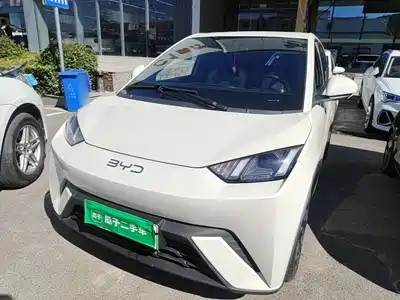 BYD Seagull 2024