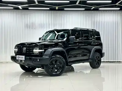 Tank 300 2022