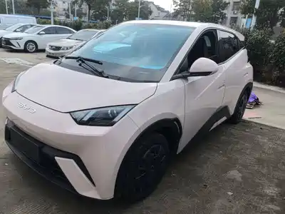 BYD Seagull 2024