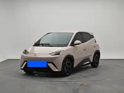 BYD Seagull 2024