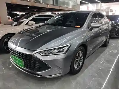 BYD Qin PLUS 2024