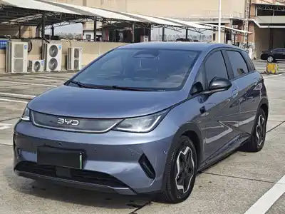 BYD Dolphin 2025