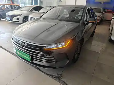 BYD Destroyer 05 2024