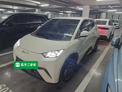 BYD Seagull 2024