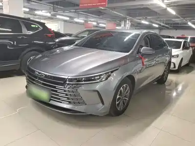 BYD Destroyer 05 2024