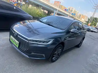 BYD Qin New Energy 2020