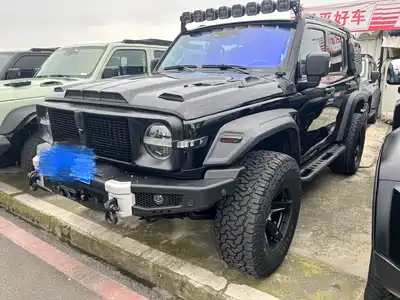 Tank 300 2021
