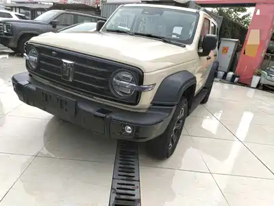 Tank 300 New Energy 2025