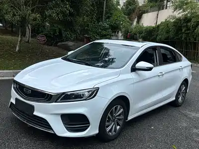 Geely Binrui 2019