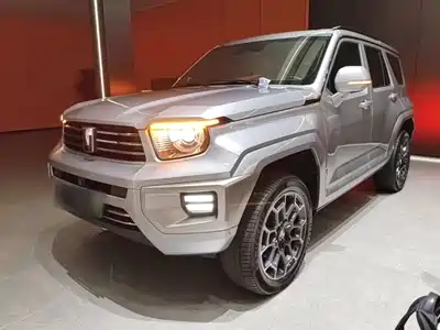 Tank 700 New Energy 2024