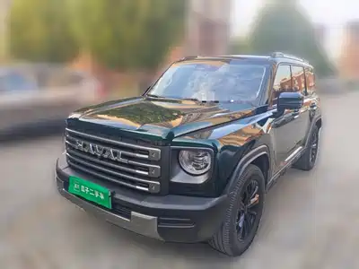 Haval Meng Long NEV 2024