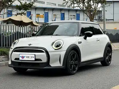 MINI MINI 2024