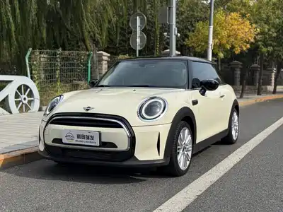 MINI MINI 2021