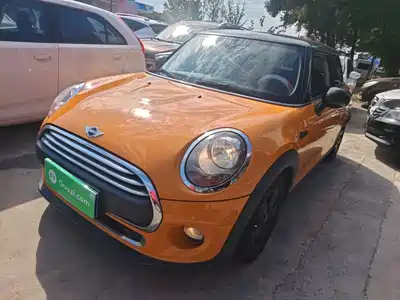 MINI MINI 2015
