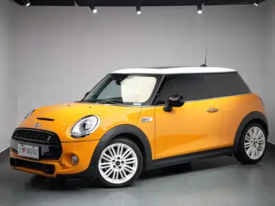 MINI MINI 2015
