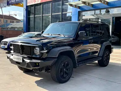 Tank 300 2021