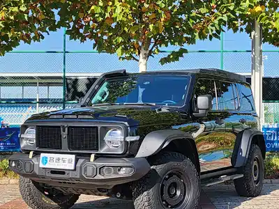 Tank 300 2024