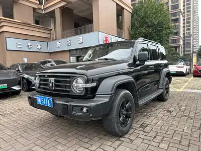 Tank 300 2024