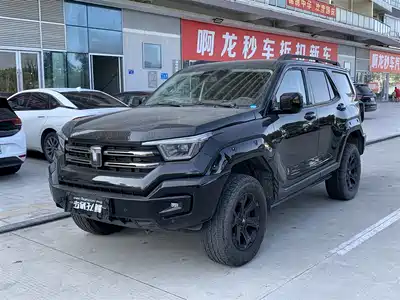Tank 400 New Energy 2024