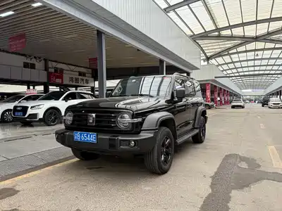 Tank 300 2025