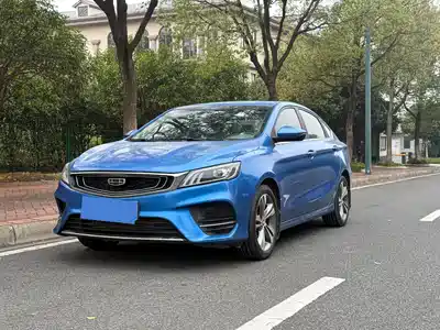 Geely Binrui 2019