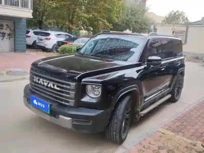 Haval Meng Long NEV 2024