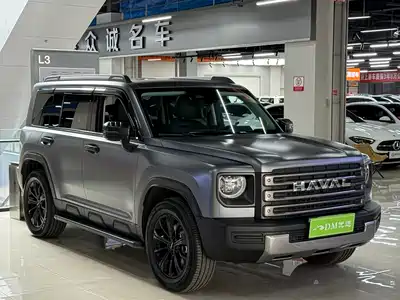 Haval Meng Long NEV 2025