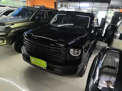 Haval Meng Long NEV 2023