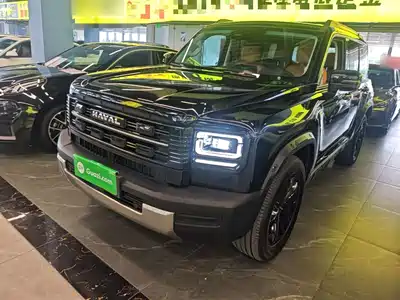 Haval Meng Long NEV 2026
