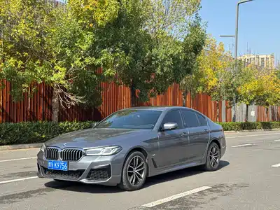 BMW 5 Series (Import) 2021