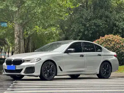 BMW 5 Series (Import) 2021