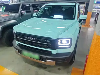 Haval Meng Long NEV 2025