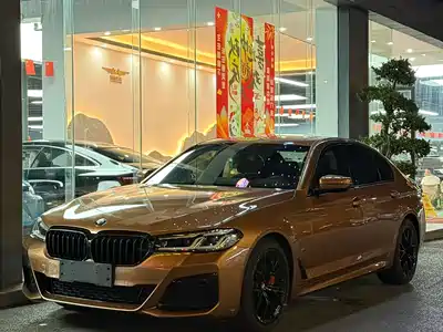 BMW 5 Series (Import) 2022