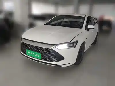 BYD Qin PLUS 2024