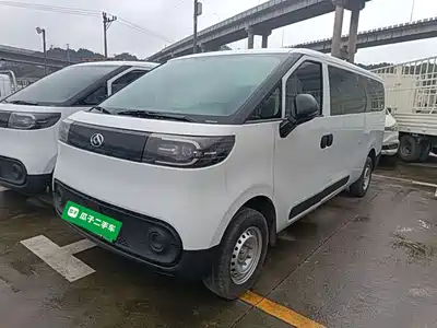 SAIC Maxus Dana V1 2025