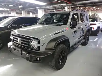 Tank 300 2024