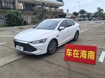 BYD Qin PLUS 2022