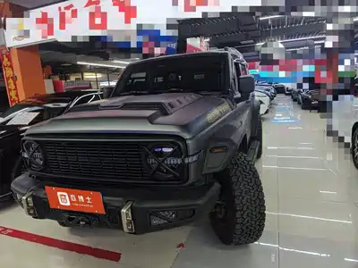 Tank 300 2024