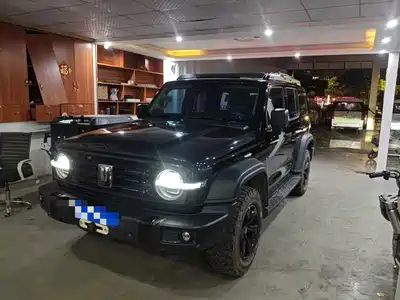 Tank 300 2025